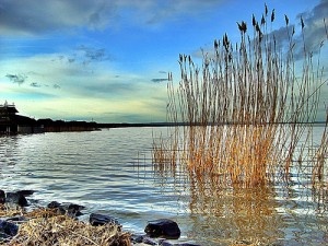 Kellemes időtöltés a Fertő tó mellett